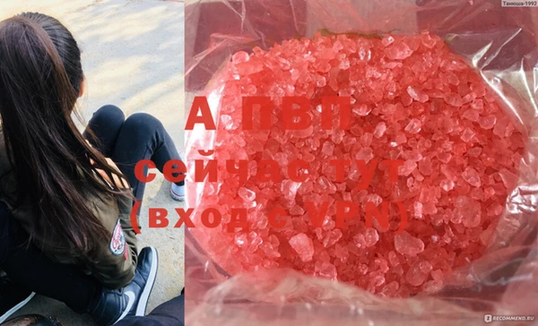 альфа пвп VHQ Бородино