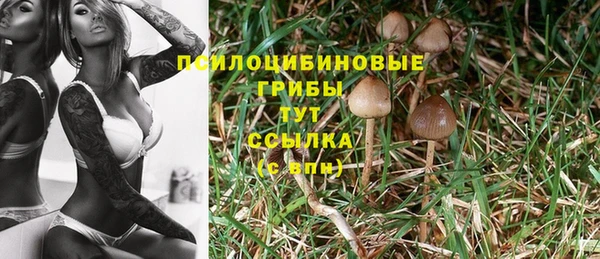 мдма Верхний Тагил