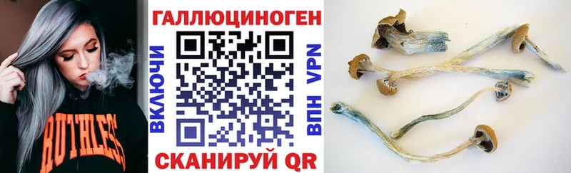 Галлюциногенные грибы Psilocybe  Георгиевск 